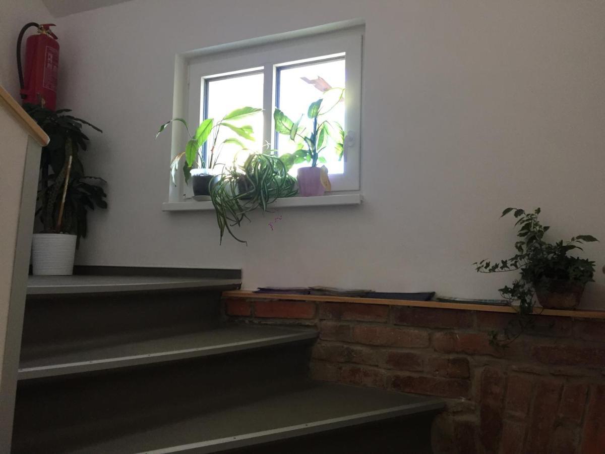 Penzion U Lastuvku Šluknov Buitenkant foto